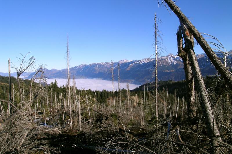 Lothar war mit Abstand der heftigste Wintersturm in Europa und in der Schweiz, was die Waldschäden betrifft.