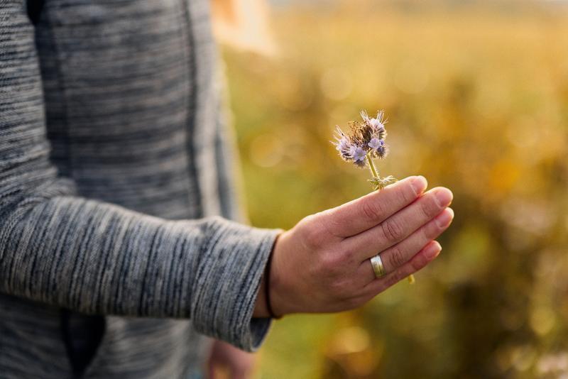 Jana Könker hat mit der Phacelia ein vielversprechendes Vehikel gefunden, da sie in der Landwirtschaft zahlreiche Vorteile bietet, wie die Förderung von Bodennährstoffen und die Kompatibilität mit anderen Pflanzen. 