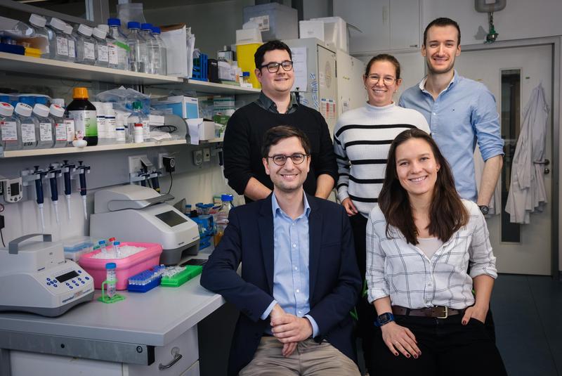 Showing how the genes relevant to diseases can be identified more easily (clockwise from top left): Alexander Hoch, Katja Blumenstock, Marius Jentzsch, Caroline Fandrey und Prof. Jonathan Schmid-Burgk.