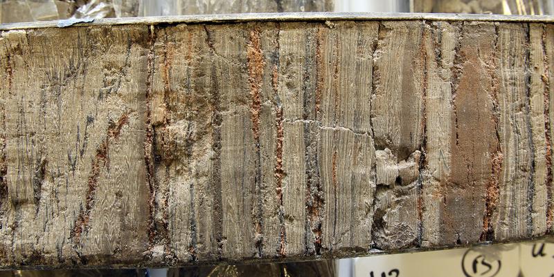 Section of one of the drilling samples of the ELSA project showing the individual sediment layers