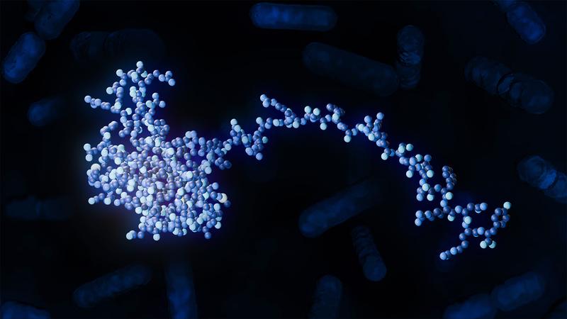 Atomares Modell des RbpB-Proteins von Bacteroides thetaiotaomicron mit einzelnen B. thetaiotaomicron-Bakterien im Hintergrund.