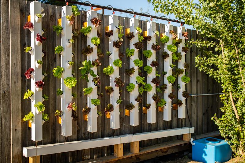 Im Reallabor ROOF WATER-FARM werden innovative Konzepte wie Aquaponik (Kombination von Fischzucht und Pflanzenanbau) und Hydroponik (pflanzliche Kultivierung ohne Erde) erforscht, um nachhaltige Kreisläufe für urbane Räume zu schaffen.