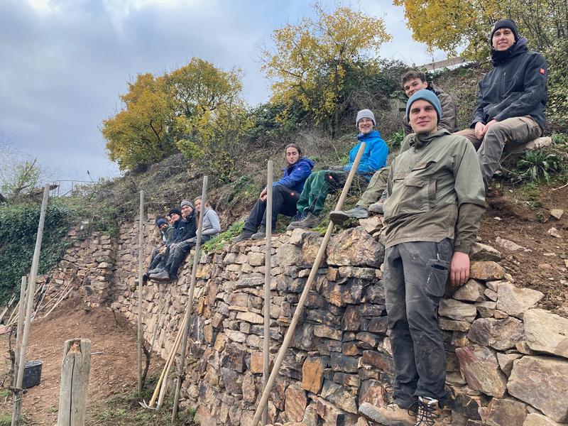 Bau der Trockenmauer im "Krähennest"