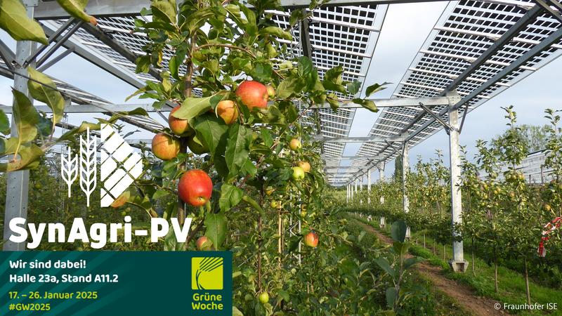 Landwirtschaft und Energiegewinnung mit Solarpaneelen auf einer Fläche kombiniert: das Forschungsprojekt SynAgri-PV stellt auf der Grünen Woche 2025 in Berlin verschiedene Konzepte für Agri-Photovoltaik vor. 