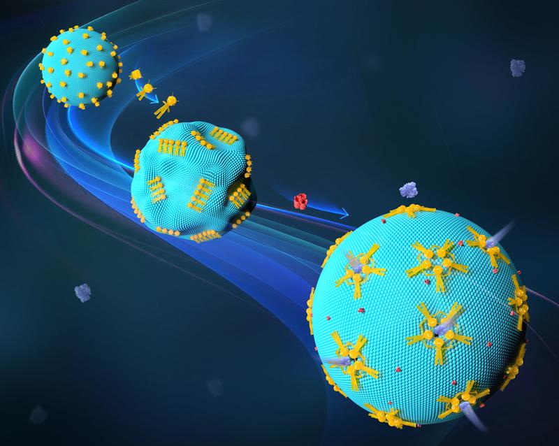 Rekonfigurierbare DNA-Nanoroboter, die auf synthetischen Zellen arbeiten.