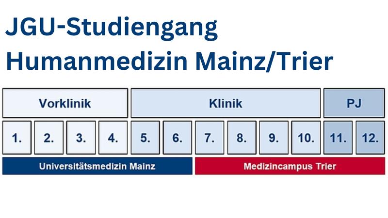 Johannes Gutenberg-Universität Mainz etabliert ab Sommersemester 2025 neuen, eigenen Studiengang Humanmedizin Mainz/Trier