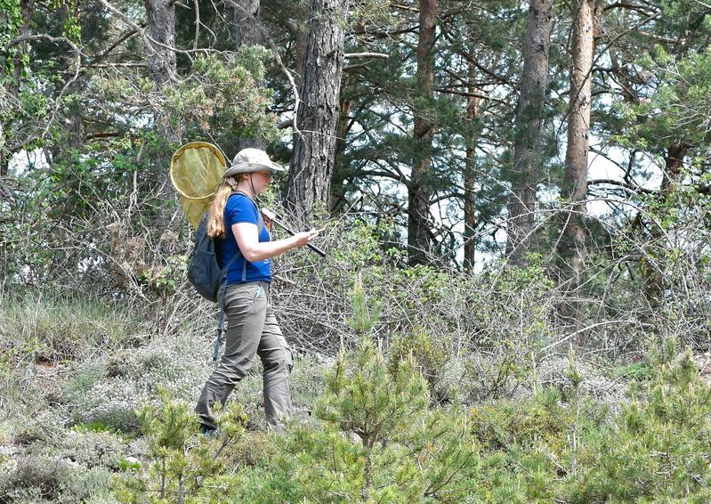 Scanning nature. By using cutting-edge genetic methods, Daria Shipilina tries to uncover the genetic foundations of extraordinary phenotypic traits, such as migration. But first, she has to catch painted ladies—a quite difficult task.