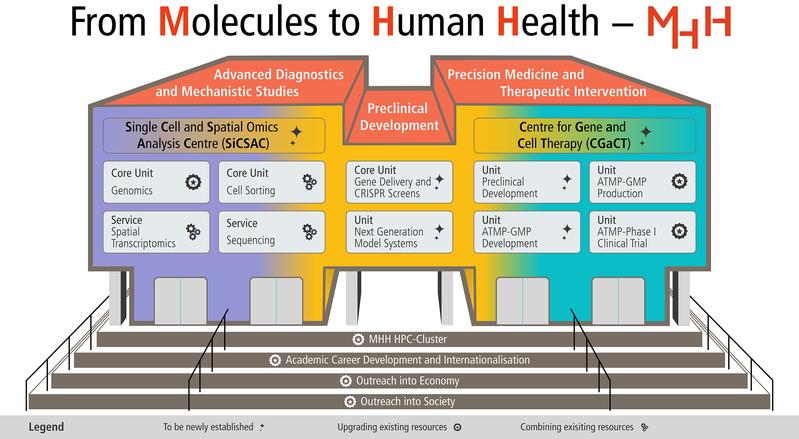 Supported: The areas of the project „From Molecules to Human Health“ build on each other.