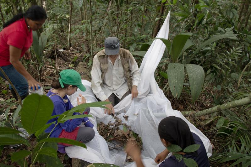 The project aims to establish a long-term partnership between German and Ecuadorian researchers - with some focus on the training of Ecuadorian researchers and students.