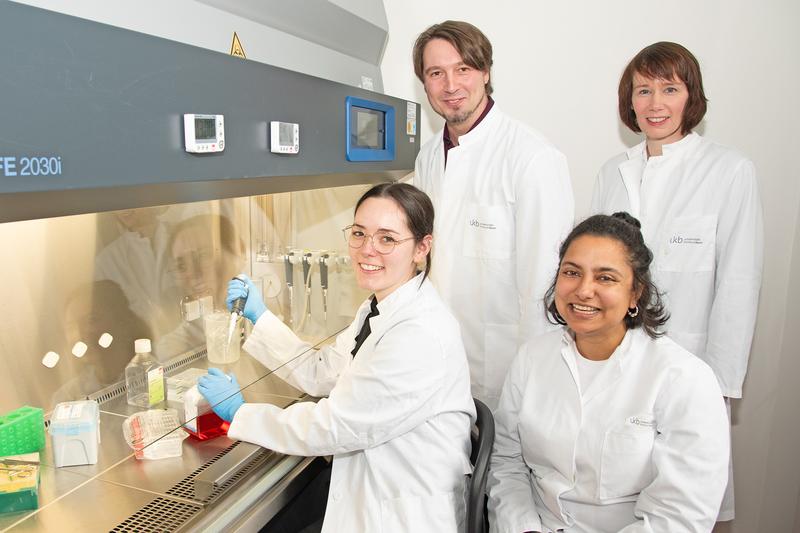 Potentieller Angriffspunkt für MS-Therapie entdeckt:  (v. li) Alicia Weier, Dr. Maik Hintze, Dr. Rittika Chunder und Prof. Stefanie Kürten identifizieren mit dem Protein MLC1 ein Zielantigen bei Multipler Sklerose.