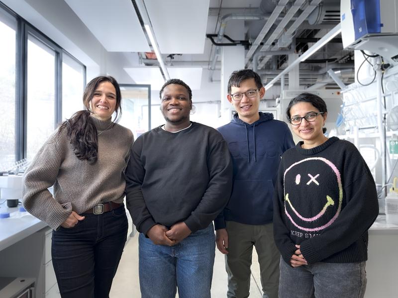 The study authors in the lab at ISTA. Left-to-right: Professor Maria Ibáñez, Abayomi Lawal, first author Shengduo Xu, and Sharona Horta.