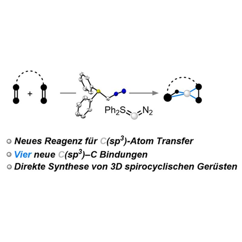 Das Team um Prof. Max Hansmann hat ein neues Reagenz entwickelt, um ein C-Atom in einem Molekül hinzuzufügen und um 3D-Strukturen aufzubauen.