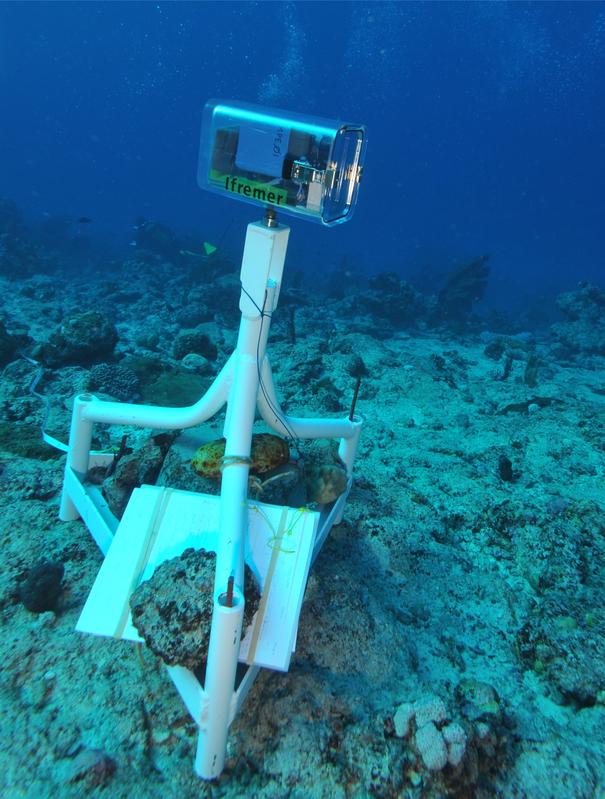 Aufnahme mit ferngesteuerter Unterwasservideos in einer Riffpassage vor Neukaledonien im Südpazifik