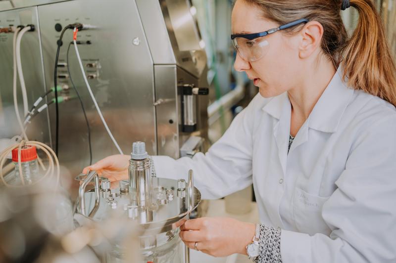 Working on a bioreactor