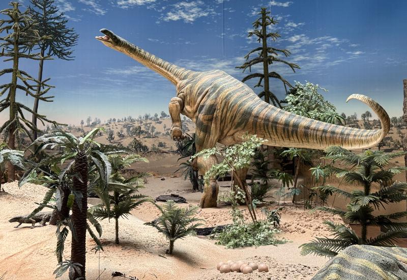 Der Dinosaurier Plateosaurus lebte während der Triaszeit in Südwestdeutschland.