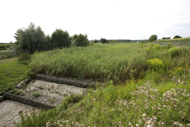 Retentionsbodenfilter an der Schussen 