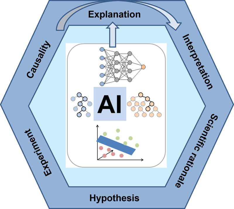 AI models in the natural sciences: From explaining predictions to capturing causal relationships. 