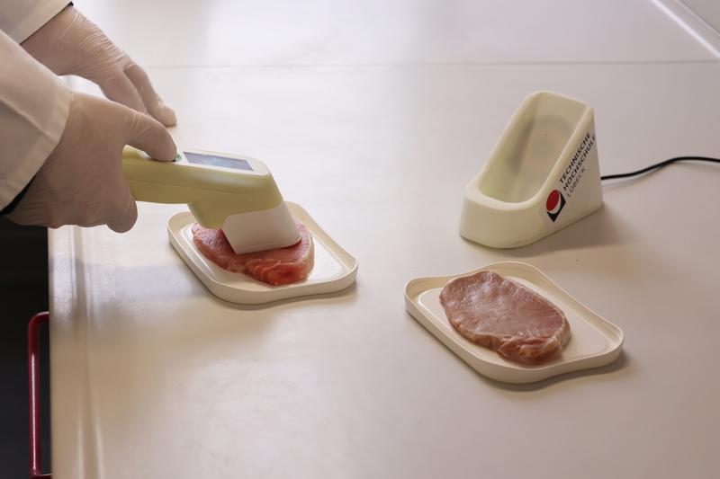 Prof. Horst Hellbrück testet das Handgerät an unterschiedlich gelagertem Fleisch. 