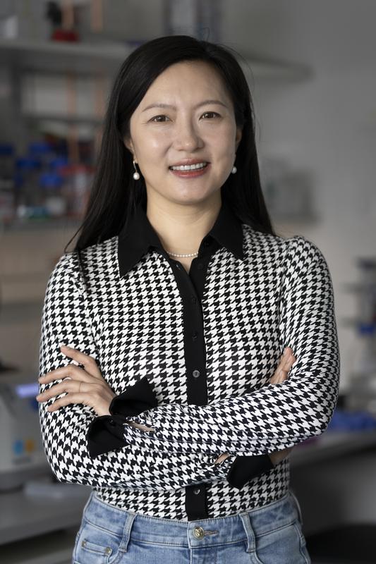 Xiaoqi Feng in the lab at ISTA. 