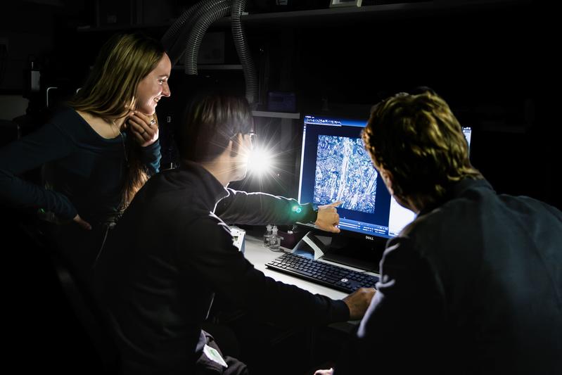 Autor:innen aus der Danzl-Gruppe am Institute of Science and Technology Austria (ISTA): Mojtaba R. Tavakoli, Julia Lyudchik und Johann Danzl. © ISTA 
