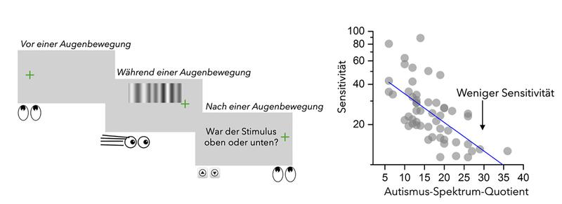 Versuchsaufbau und Messergebnisse. Ausführliche BU s. Ende des Textes.
