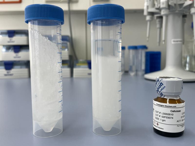 Links die Windelmasse, die nach Zugabe von Flüssigkeit extrem zähflüssig ist. Rechts entmischt nach Zugabe von Kalziumchlorid; nachdem die Flüssigkeit abgegossen wurde, können die Enzyme (im kleinen Gläschen) die Zellulose abbauen.