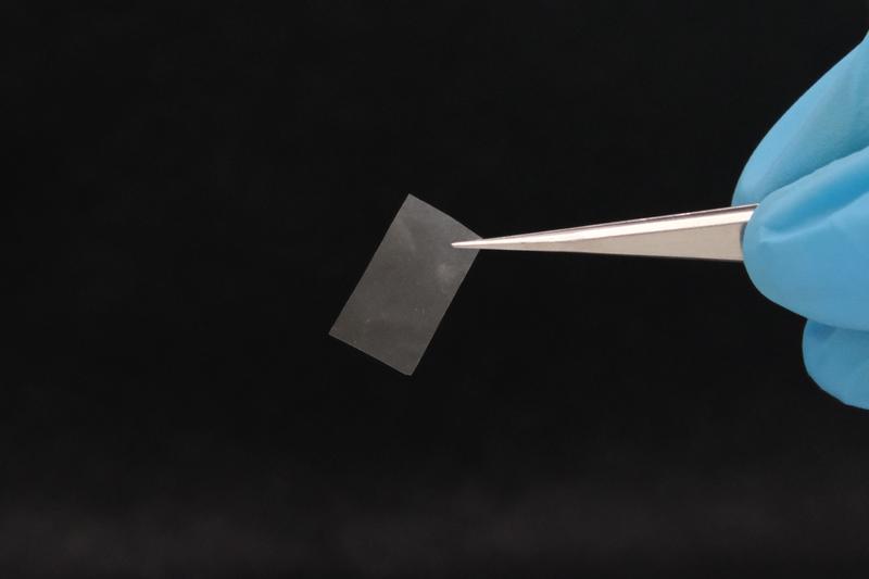 Die lebende Folie ist nahezu transparent und besitzt eine gute Reissfestigkeit. Sie könnte etwa als Bio-Kunststoff zum Einsatz kommen. 