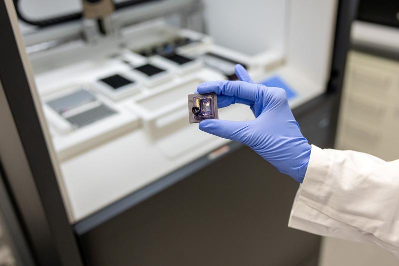 Das WGGC verfügt über hochmoderne Sequenzierungsgeräte, darunter REVIO (Pacific Biosciences) und PromethION24 (Oxford Nanopore Technologies). Bei der „Long-Read-Sequenzierung“ können auf Zellen wie dieser bis zu 25 Millionen einzelne Reaktionen