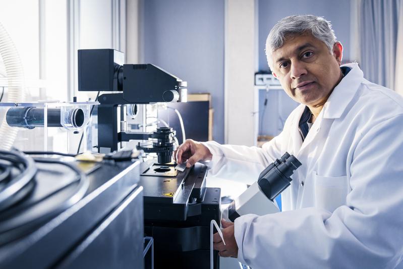 PSI-Forscher G.V. Shivashankar hat mit seinem Team die KI-gestützte Methode Image2Reg entwickelt – sie analysiert Zellbilder und erkennt genetische Veränderungen allein anhand der Chromatinstruktur. 