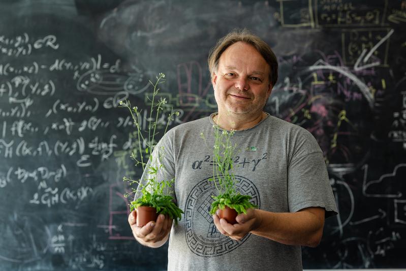 Professor Jiří Friml mit der Ackerschmalwand (A. thaliana), dem Modellorganismus seiner Forschungsgruppe am Institute of Science and Technology Austria (ISTA).