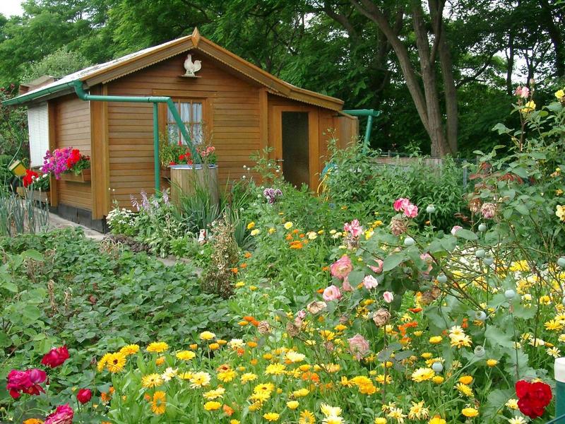 Biodiverser Kleingarten.