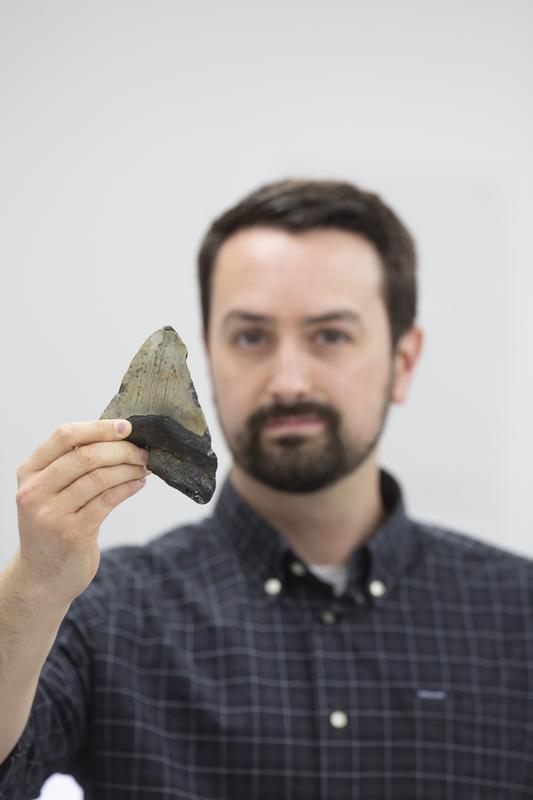 Dr. Jeremy McCormack mit einem versteinerten Megalodon-Zahn (Otodus megalodon).