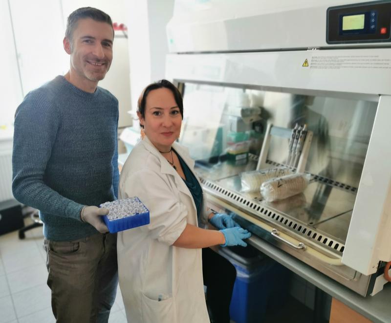 Molekulare Analysen der Fischproben liefern wichtige Einblicke in Stressreaktionen der Regenbogenforellen. Dr. Alexander Rebl (FBN, links) und Dr. Thora Lieke (Universität Südböhmen) bei der gemeinsamen Laborarbeit.