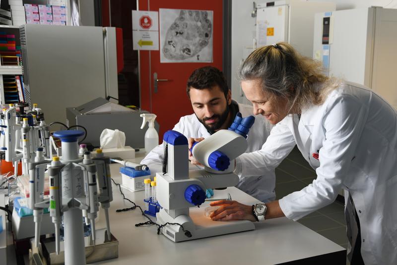 Die Empa-Forschenden Nikolaos Tagaras und Tina Bürki arbeiten an umfassenden Sicherheitsstudien zu den neu entwickelten Nanozymen.