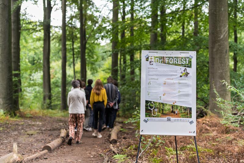Die Studie Dr. Forest legt Waldmerkmale offen, die Gesundheit und Wohlbefinden stärken können. 