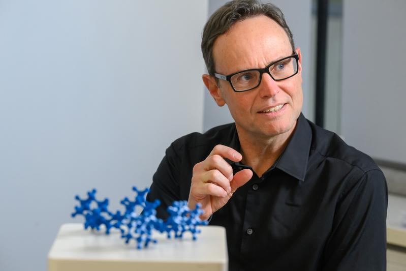 Prof. Dr. Peter R. Schreiner.
