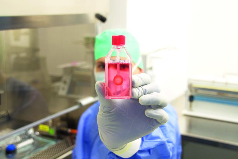 Augenhornhauttransplantat in der Gewebebank