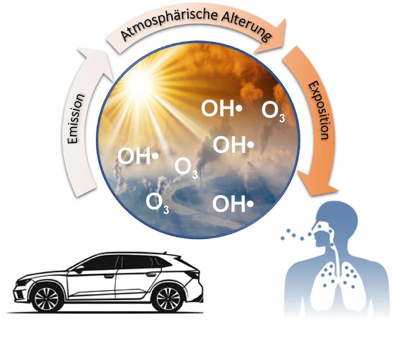 Autoabgase werden in der Atmosphäre durch Hydroxylradikale und Ozon aus der Photochemie zu sekundärem Feinstaub umgewandelt. 