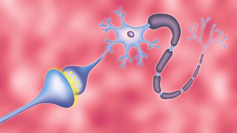 Darstellung einer Synapse zwischen zwei Gehirnzellen mit Neurotransmittern (gelb). 