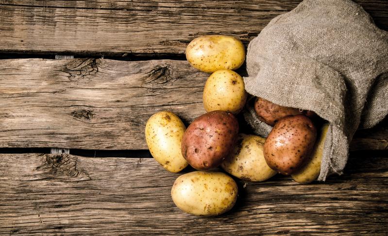 Kartoffeln sind wahre Powerknollen