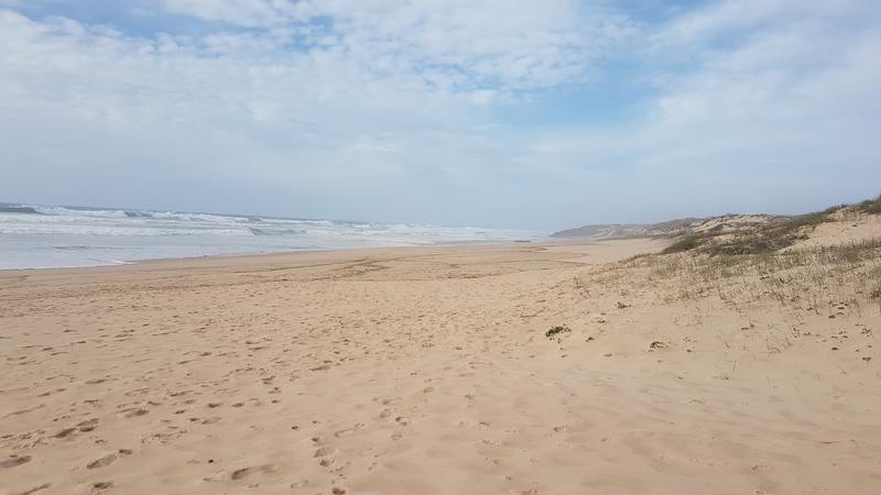 Durchlässiger Sand bedeckt mehr als die Hälfte des Meeresbodens des Kontinentalschelfs. Dort fungiert er als riesiger Filter fungiert und entfernt Mengen anthropogenen Stickstoffs, der über Flüsse und Grundwasser in den Ozean gelangt. 