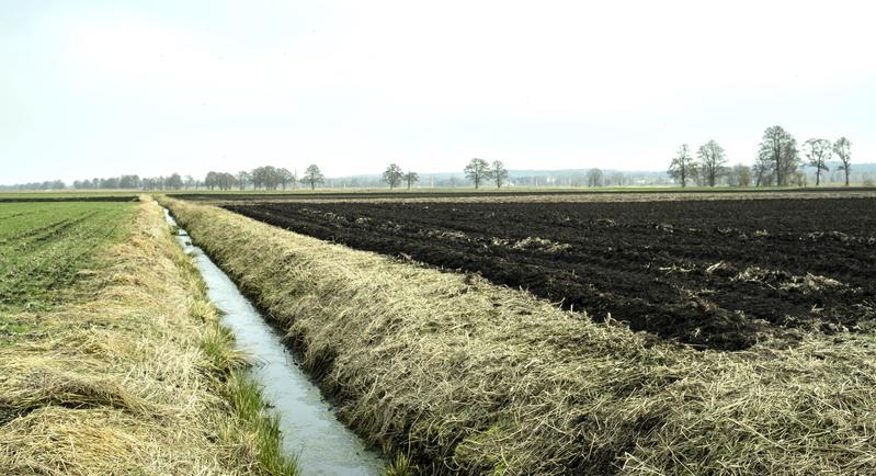 Das Bayerische Donaumoos ist durch dunkle Moorböden und ein Netz an künstlichen Drainagegräben gekennzeichnet. 