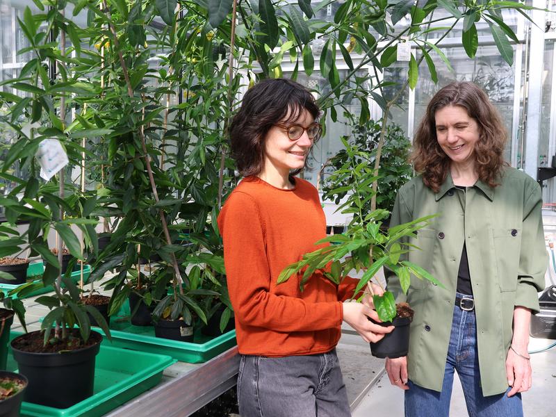 Maite Colinas and Sarah O’Connor