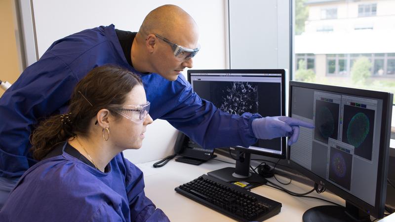 Virologist Prof. Schindler and a colleague evaluate data from an infection experiment.