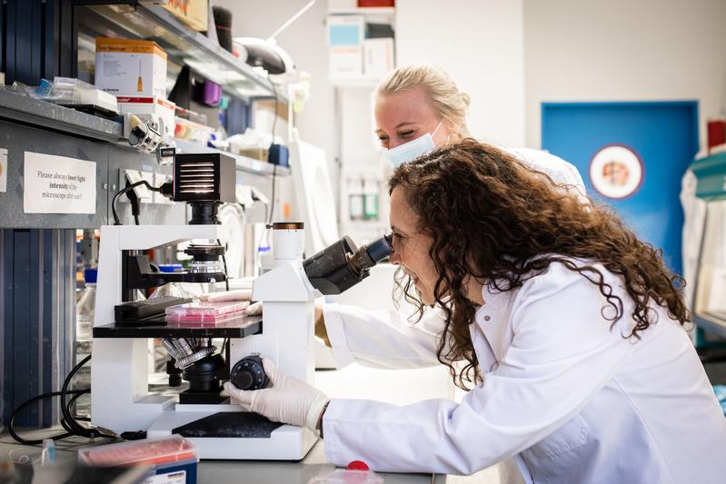 At TUM University Hospital, Dr. Jennifer Altomonte studies oncolytic viruses – pathogens that target tumor cells. With her start-up Fusix Biotech, she’s working to turn them into new cancer therapies. 