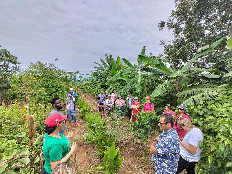 Wissenschaftler*innen des Projekts "NativePlantInno" auf dem Versuchsfeld im brasilianischen Cerrado.