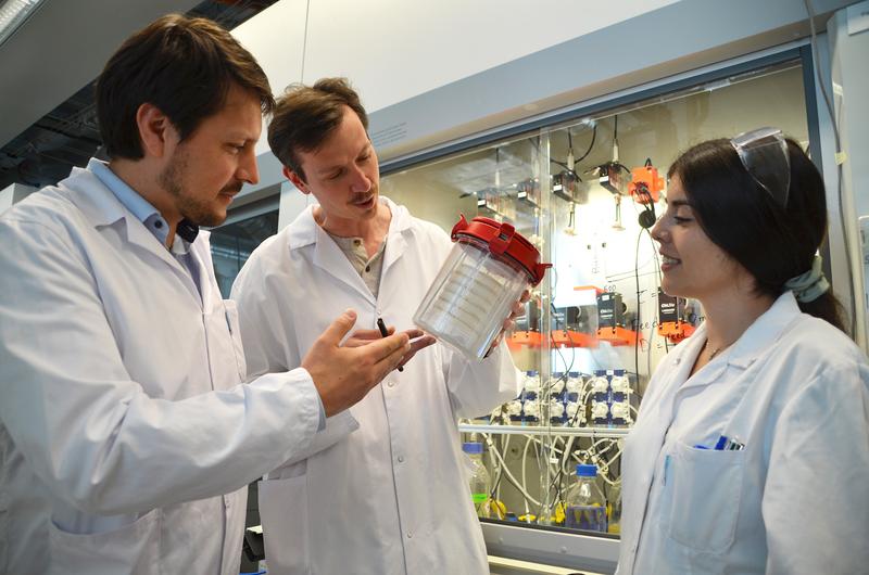 Stefan Pflügl (links) im Labor mit den Erstautor_innen der beiden Publikationen, Angeliki Sitara (Mitte) und Rémi Hocq (rechts). 