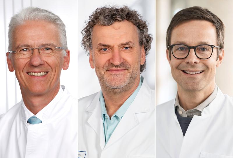 Professor Rainer Wirth, Professor Markus Gosch und Professor Michael Denkinger