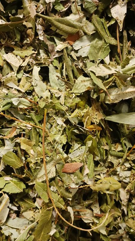 : Dried willow leaves as a natural feed additive - tested for its emission-reducing effect on cattle as part of the cooperation project. 