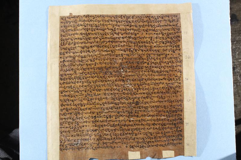 Vom Bhandarkar Oriental Research Institute erhielt Kim 419 digitalisierte Fotografien des Saṃhitā-Text des Ṛigveda aus Kaschmir. 